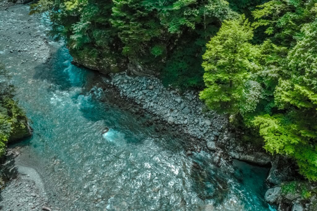 A vibrant aerial view of a serene