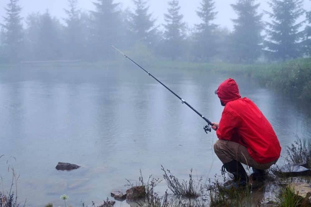 Do You Catch More Fish In The Rain? The Best Time to Go Fishing