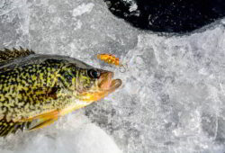 Crappie Fishing At Night In Winter – Expert Guide and Insider Tips