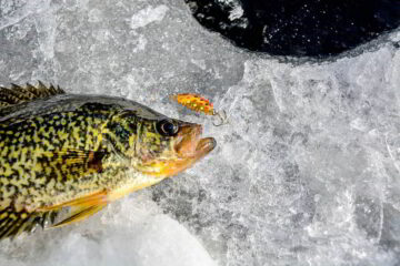 Crappie Fishing At Night In Winter – Expert Guide and Insider Tips