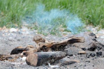 How To Put Out A Fire Without Water – 3 Practical Options to Try