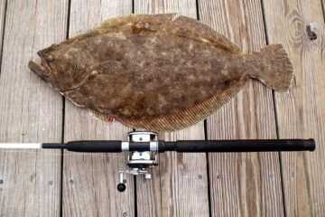 How to Catch Flounder At Night: Your Guide to Night Fishing
