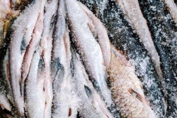 How to Keep Fish Fresh Without Ice: The Common Tips to Follow