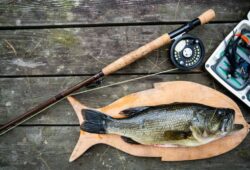 What Does Largemouth Bass Taste Like? See If It’s Worth Eating!