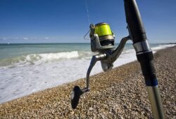 What Pound Test For Surf Fishing Do You Need: A Comprehensive Guide