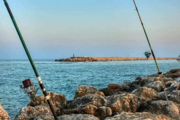 Carbon Fiber vs. Graphite Fishing Rod: What Should You Get?