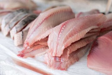 How to Freeze Fish In Ziplock For Longer-Lasting Meat