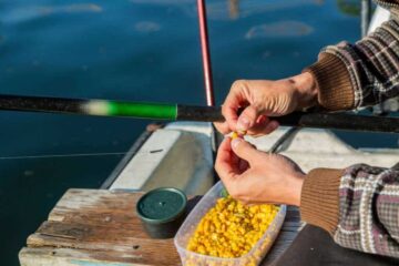 Is Fishing With Corn Illegal in Texas? Learn the Law Before Fishing!