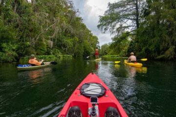 Can A SUP Keep Up With A Kayak – Fascinating Facts You Should Know!