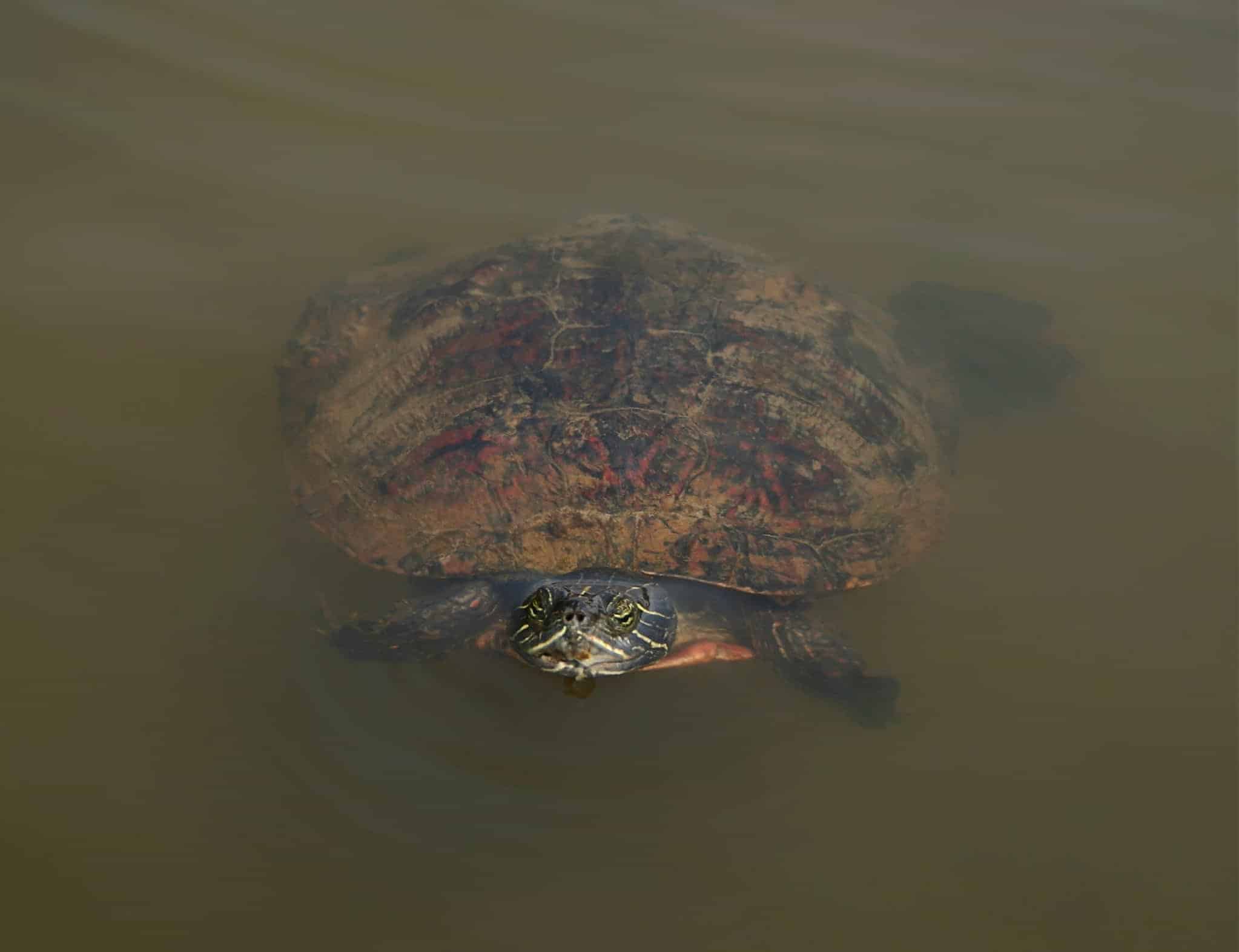 válassza ki a megfelelő helyet