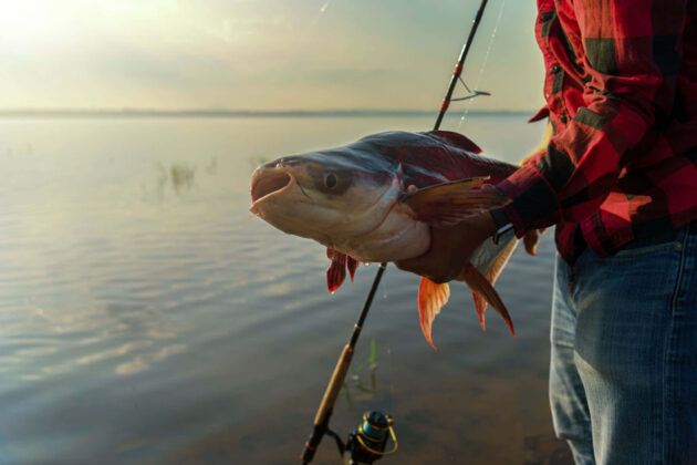 how to bait a catfish hole