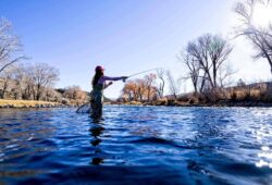 Best Smallmouth Lakes In Wisconsin – Great Places To Visit For An Abundant Catch!