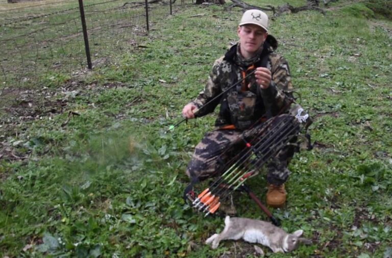 how-to-hunt-rabbits-with-a-bow-expert-tips-you-need-to-know