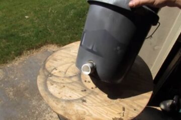 How to Make a Coon Feeder And Other Expert Tips You Should Know