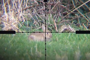 Rabbit Hunting with A .22 Rifle – Expert Tips You Need to Know