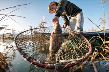 When Do Carp Spawn In Texas? Interesting Facts Anglers Should Know