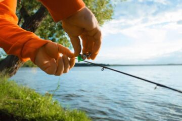 What Fish Are Biting This Time Of Year? Comprehensive Guide For Every Angler