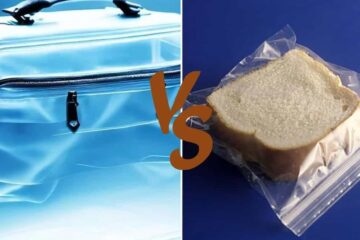 Quart Size Bag Vs Sandwich Bag – Which One Should You Use?